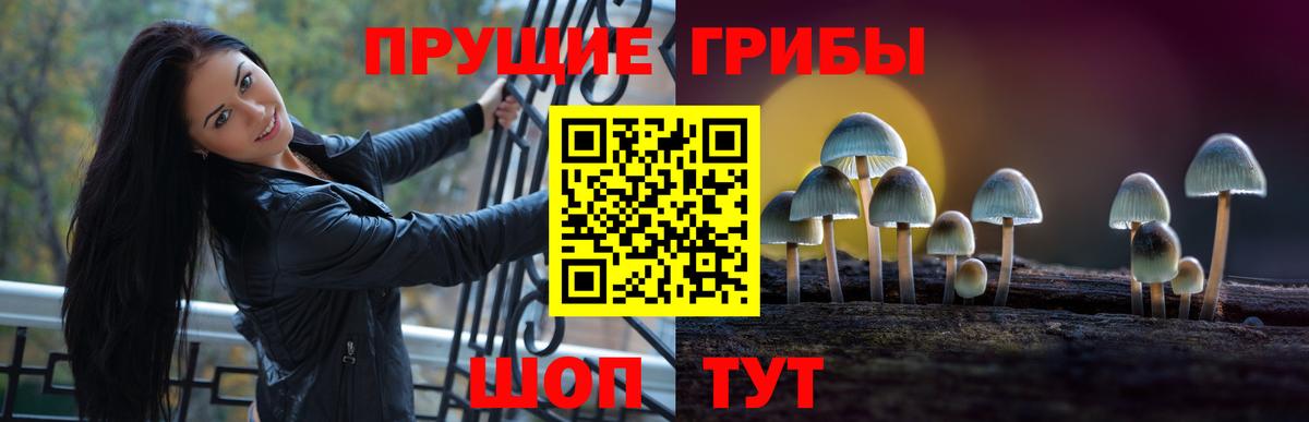Псилоцибиновые грибы мухоморы  Вход с VPN  Верхняя Салда  Псилоцибиновые грибы ЛСД 